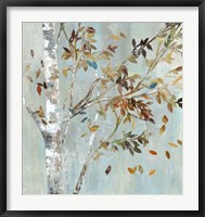 Framed Birch with Leaves I