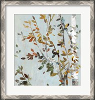 Framed Birch with Leaves II