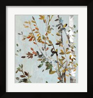 Framed Birch with Leaves II