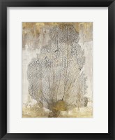 Coral Splendor II Framed Print