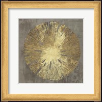 Framed Sand Dollar IA