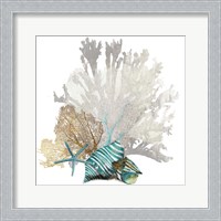 Framed Coral