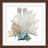 Framed Coral