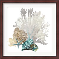 Framed Coral