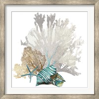 Framed Coral