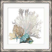 Framed Coral