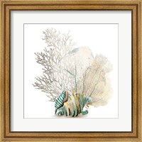 Framed Coral II