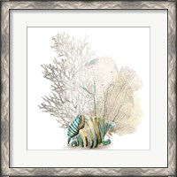 Framed Coral II