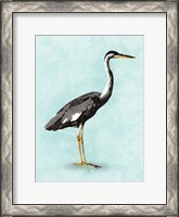 Framed Seashore Bird I