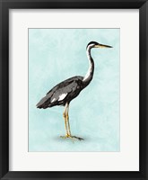 Seashore Bird I Framed Print