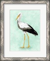 Framed Seashore Bird II
