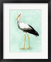 Seashore Bird II Framed Print