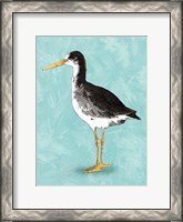 Framed Seashore Bird III