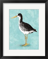 Seashore Bird III Framed Print