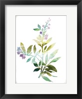 Summer Botanical III Framed Print