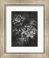 Framed Black Botanical I