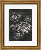 Framed Black Botanical I