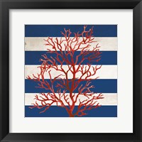 Red Coral II Framed Print