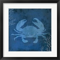 Framed 'Navy Sea Crab' border=