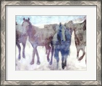 Framed Calgary Stampede