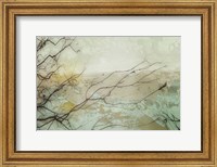 Framed Branches I