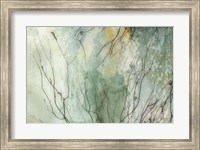 Framed Branches II
