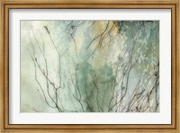Framed Branches II