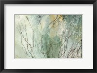Branches II Framed Print