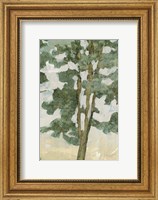 Framed Green Tree Line II