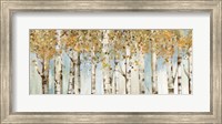 Framed Birch Country