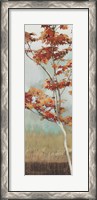 Framed Maple Tree