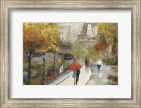 Framed Parisian Avenue