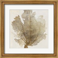 Framed Gold Coral I