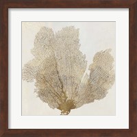 Framed 'Gold Coral II' border=