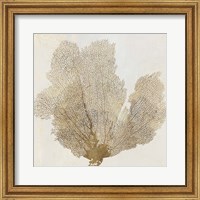 Framed Gold Coral II