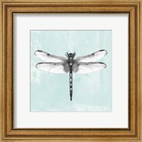 Framed 'Dragonfly I' border=