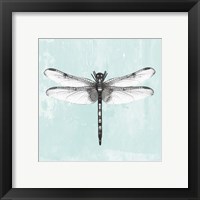 Framed 'Dragonfly I' border=