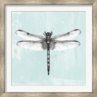 Framed Dragonfly I