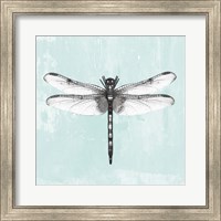 Framed Dragonfly I