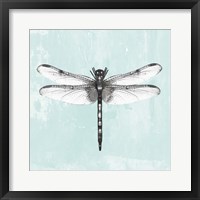 Framed Dragonfly I