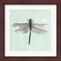 Framed Dragonfly II