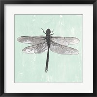 Dragonfly II Framed Print