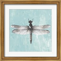 Framed Dragonfly III