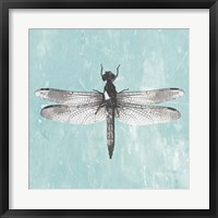 Framed Dragonfly III