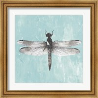 Framed 'Dragonfly III' border=