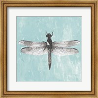Framed Dragonfly III