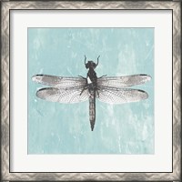 Framed Dragonfly III