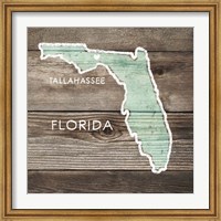 Framed Florida Rustic Map