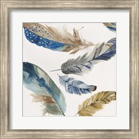 Framed Feather Weather I