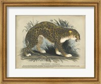 Framed Leopard